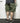 Función Pantalones cortos cargo con múltiples bolsillos Ropa de hombre Pantalones holgados casuales